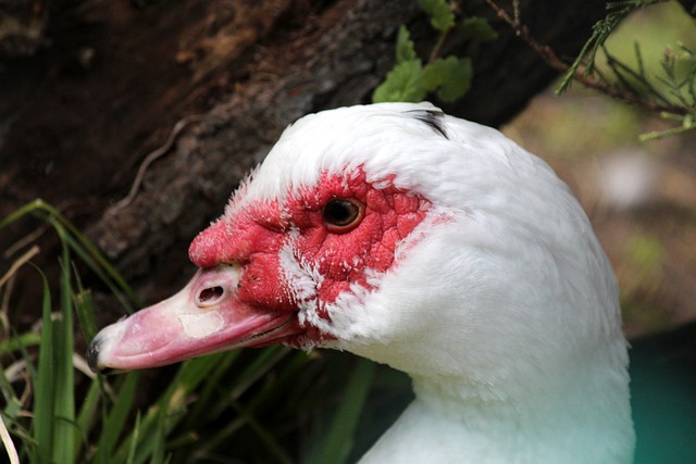默契配合 默契配合