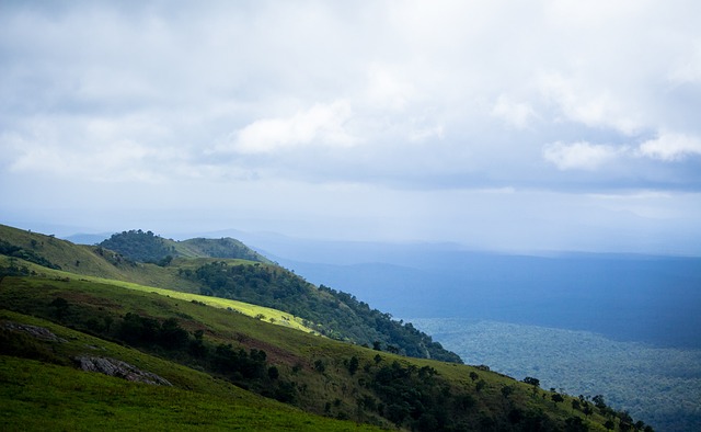 能力和极具 能力和极具