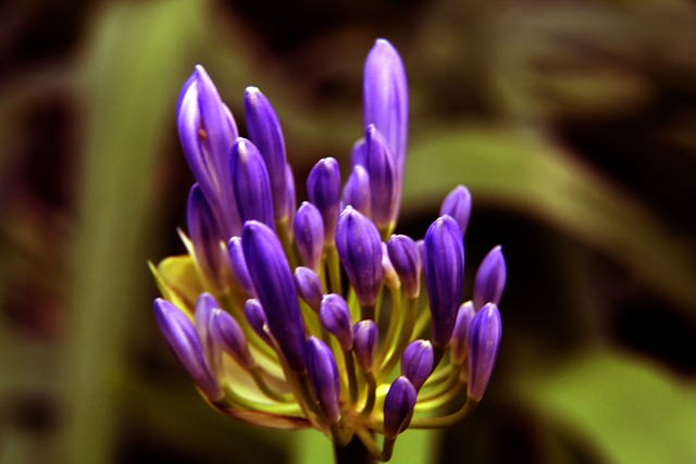 之激烈令人 之激烈令人