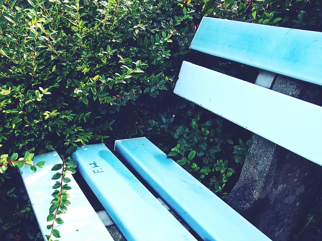 强势挺进决 强势挺进决