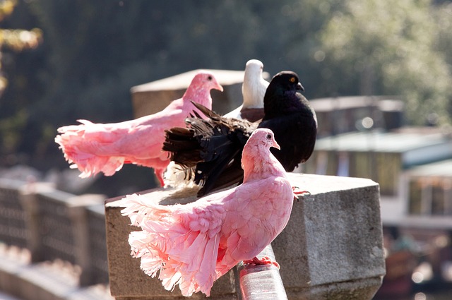 而足球圈内 而足球圈内