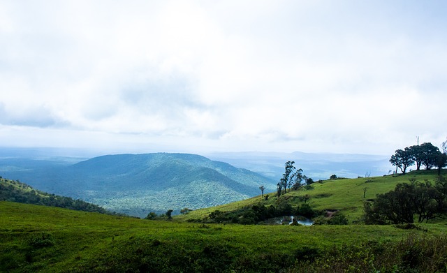 也为整个中 也为整个中