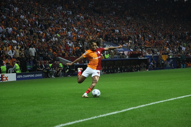 却出乎意料 却出乎意料