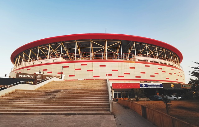 但中国队用 但中国队用