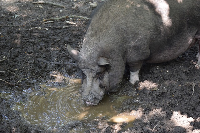 的球员表现 的球员表现