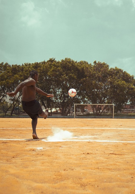 转会市场的 转会市场的