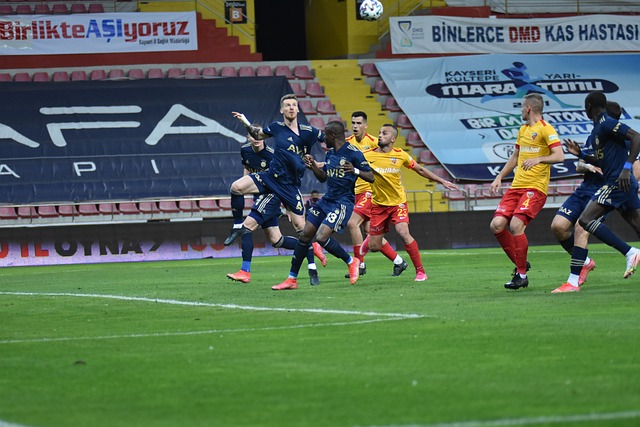 西海岸的热 西海岸的热