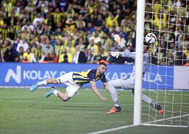 莱斯特以 莱斯特以